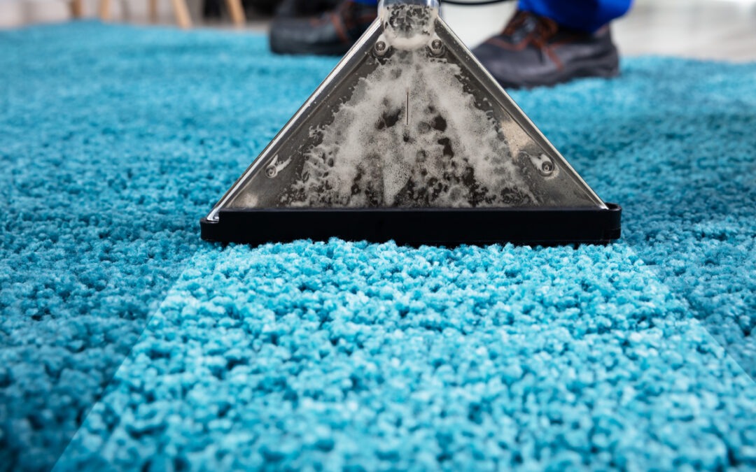 The Top Benefits of Professional Carpet Cleaning Services