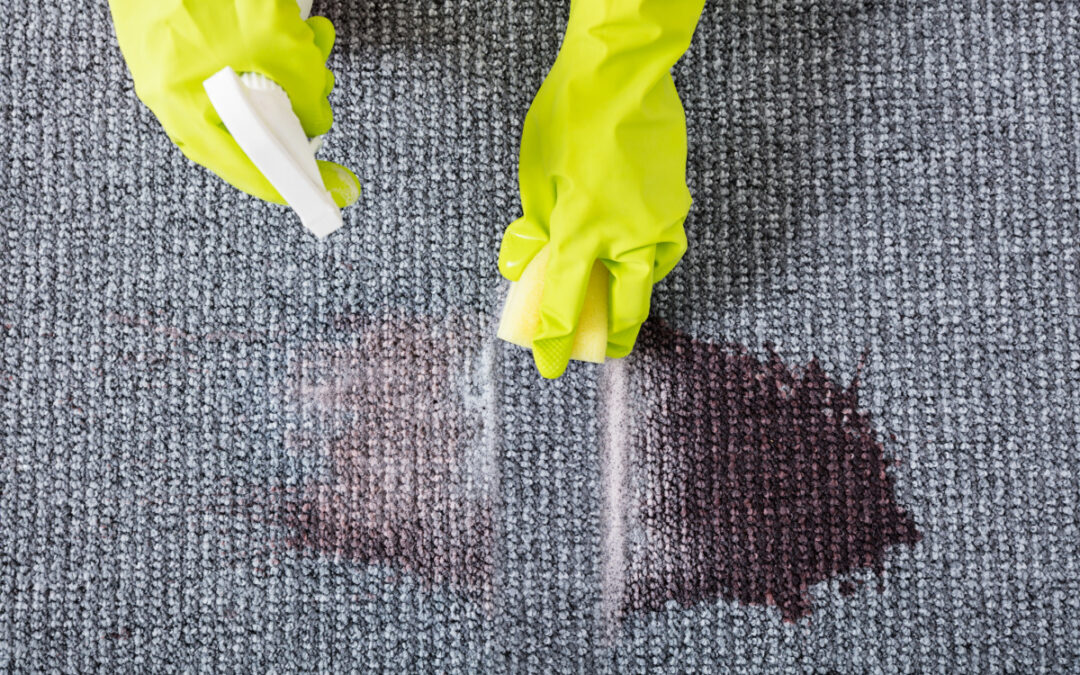 Beyond Aesthetics: The Consequences of Neglected Carpet Stains