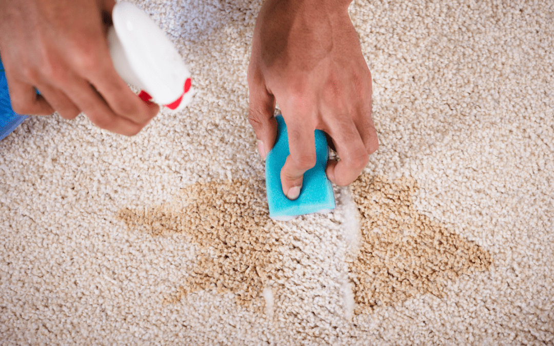 Common Misconceptions About Carpet Stains